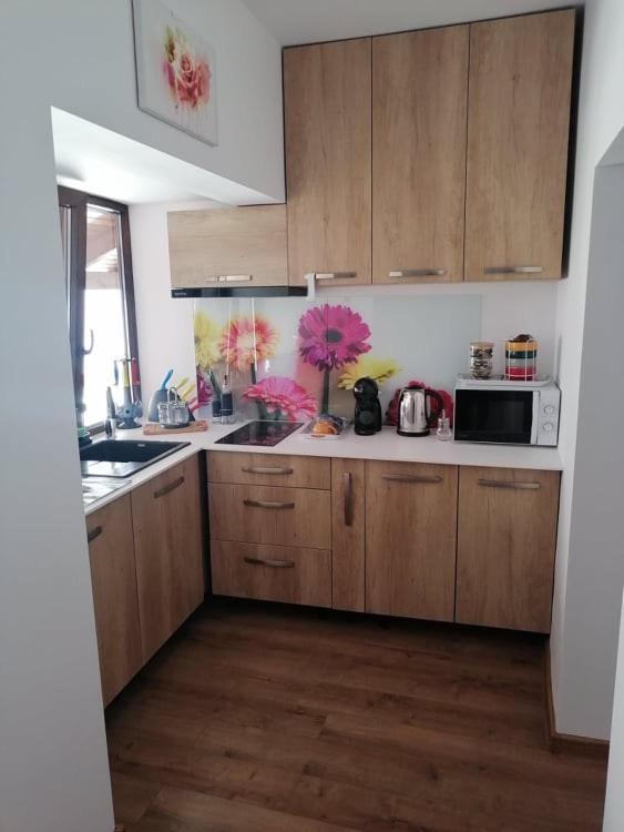 Appartement Happy House à Hunedoara Extérieur photo